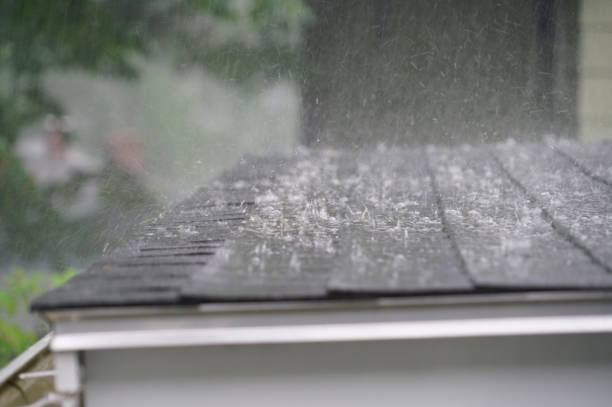 Reliable Walbridge, OH Roofing Service Solutions