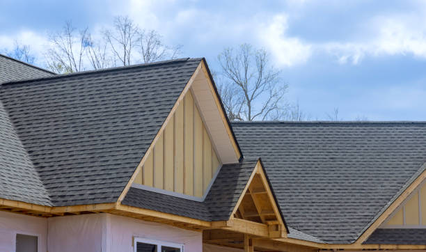 Best Roof Insulation Installation  in Walbridge, OH